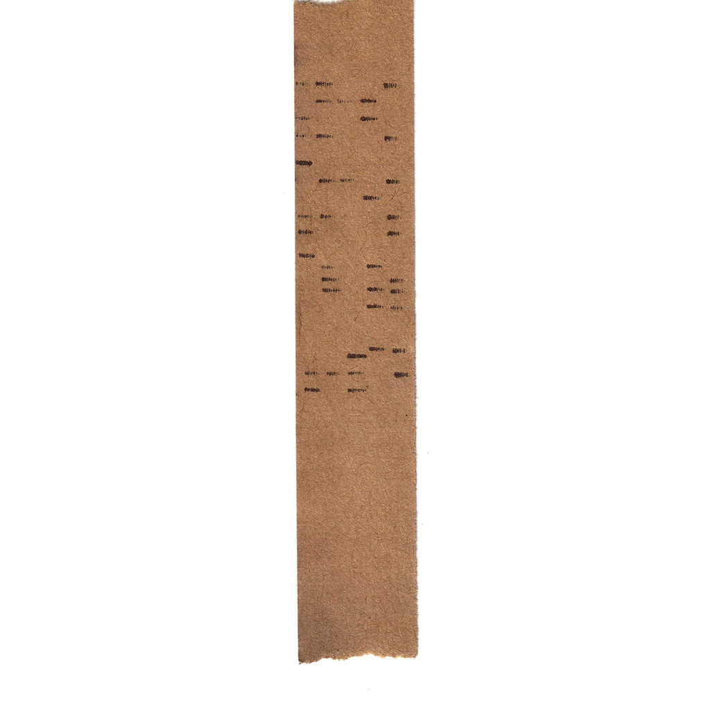 A piece of the Stenograph 1, 1st form, character strip showing the binary, five dash, language.